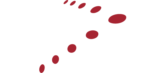 WPS GROUP LLC